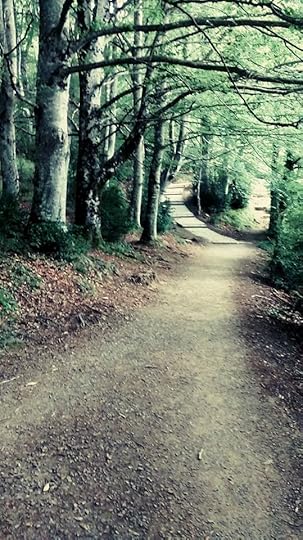 11870916_1619160815028255_5446124557509082057_n