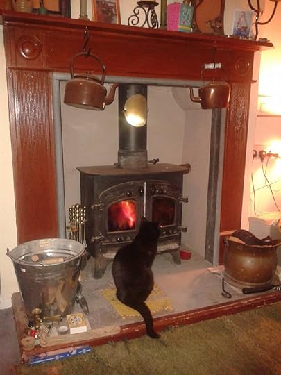 12187694_1642857295991940_38803564936619467_n