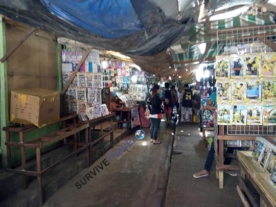 10 Day Palawan Itinerary - Walking Tour of Puerto Princesa (4) - Market - Survive Travel