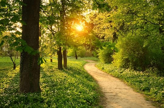 39216867 - path on the park