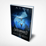 Shattered destiny 6x9 hardcover mockup transparent bg