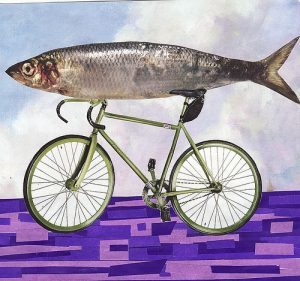 fishbike