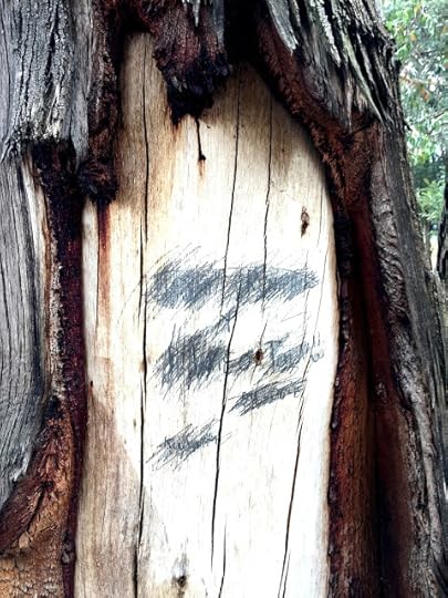 Tree graffiti