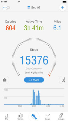 Pacer Step Total