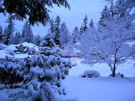 Seattle winter