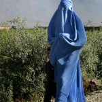 woman in burqa