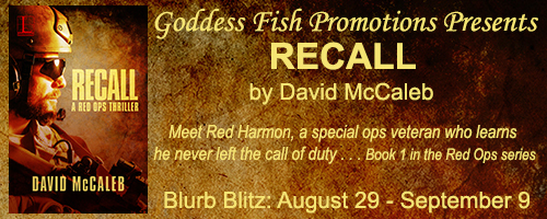 BBT_TourBanner_Recall