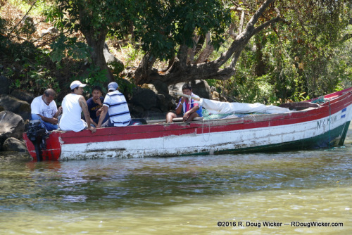 Chillin' in the shade