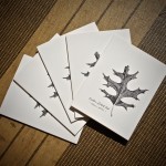 Black Oak Notecard Set