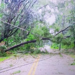 Heeding the Lessons of Hermine