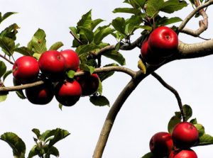 What Holds You Back from Repairing the World