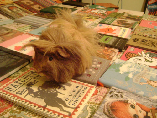 I also have muse-pigs to honor and I'll never let them down. Danger Crumples, perpetual muse-pig, stepping on all my journals, would personally thank everyone who purchased images of him and expressed how adorable he is, if he was available. 