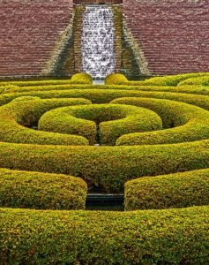 hedgerow-455139_640