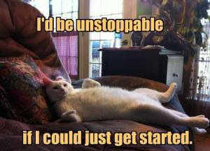 cat unstoppable