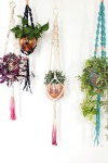 diy-macrame-plant-hanger-4