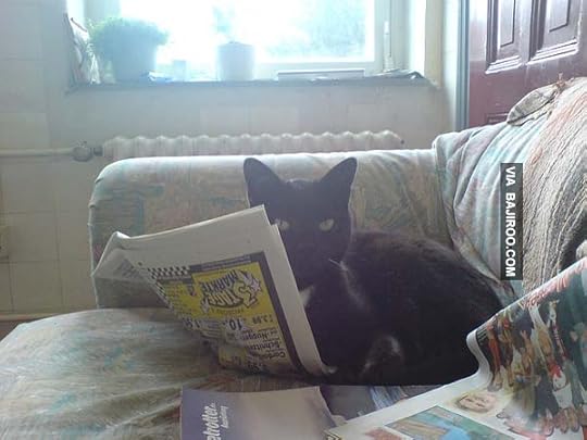 cat-reading-newspaper