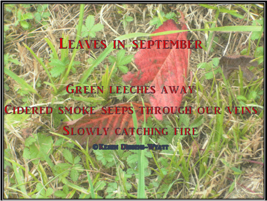 Leaves