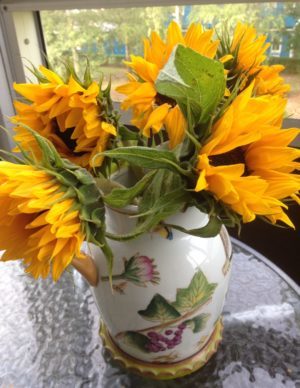 De här solrosorna fick jag - de är underbara.