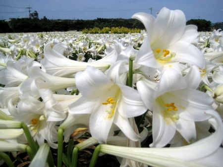 12782969852007768637_574_0