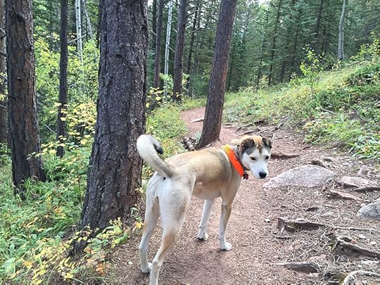 Lovell Gulch Trail, photo courtesy of Daniel Odell