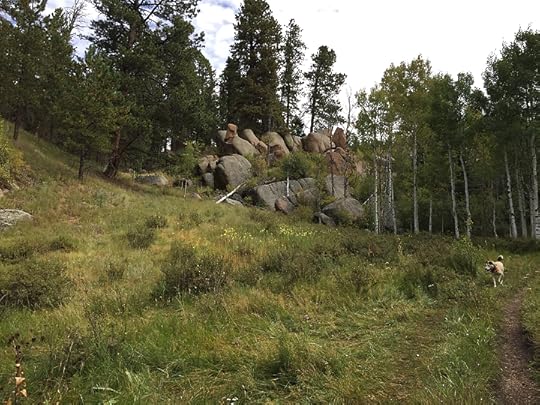 Lovell Gulch Trail, photo courtesy of Daniel Odell