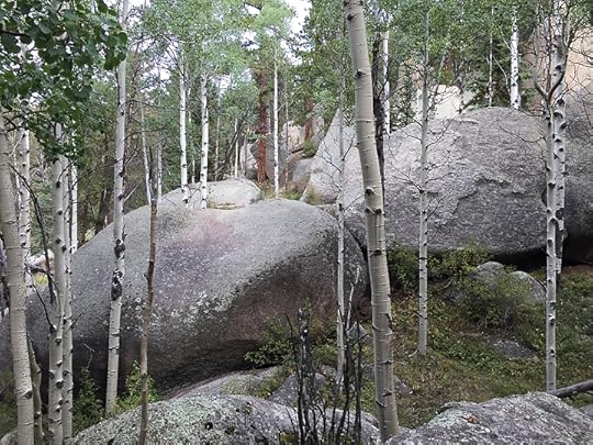 Lovell Gulch Trail, photo courtesy of Daniel Odell