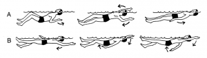 1024px-Backstroke_(PSF)