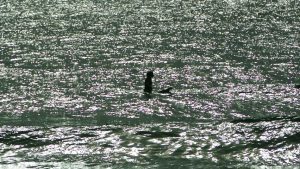 surfer girl