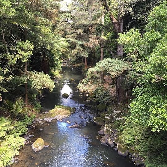 300 meters from our accommodations tonight in Whangarei #whangarei #newzealand #yha #travel #adventure #fourhomelessmillionaires