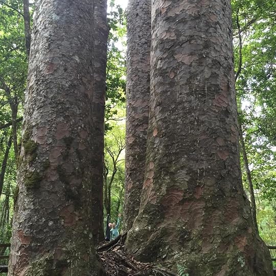 Investing Your Life (& Life Savings) In the Adventure of a Lifetime