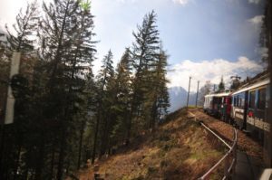 303446_10150722556647928_476406255_n