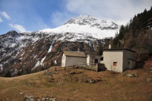 548048_10150722557237928_339456625_n