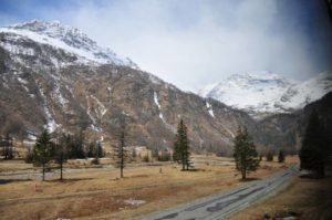 14317439_10154159660372928_4717628588419580773_n