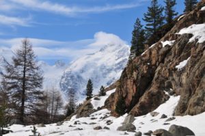 552883_10150722569232928_1110121895_n