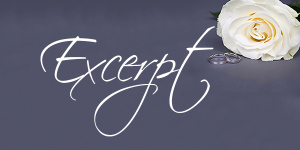 beautiful white rose flower and wedding rings over grey