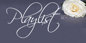 beautiful white rose flower and wedding rings over grey