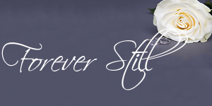 beautiful white rose flower and wedding rings over grey