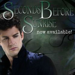 The Seconds Before Sunrise paperback is back up! And it's 20% off.