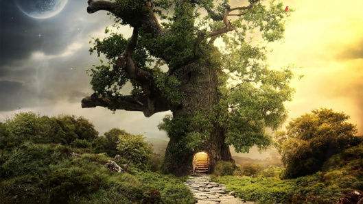 realm1