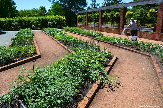 Chicago Botanic Garden Regenstine Fruit and Vegetable Garden
