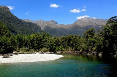The 'real' Glade Forest