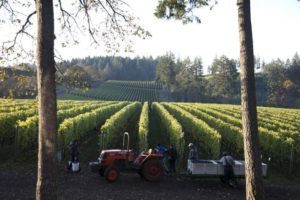 2012-september-october-1859-magazine-willamette-valley-oregon-wine-crush-tractor-grapes-rows