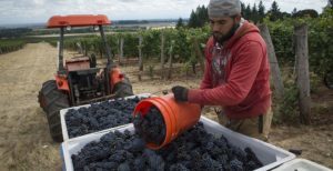 1015-news_harvest_elton_780_fitbox_1000x600