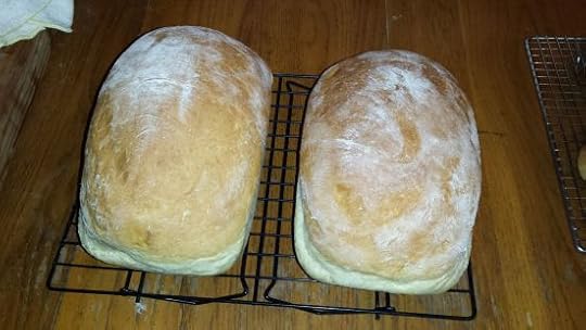 12473653_1102275479805651_5267421675739230719_o