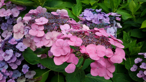 20150927_061611