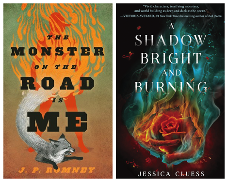debut ya novels 3