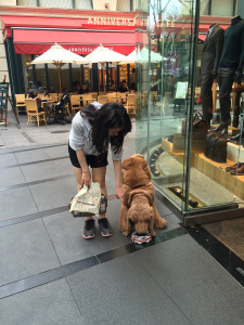 Akemi misses the dogs so badly, she's taken to bonding with the animatronic ones.