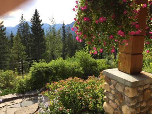 view from Hidden Ridge near Banff