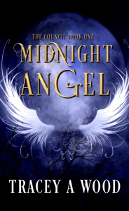 midnight-angel-soulmate-505_505x825-2