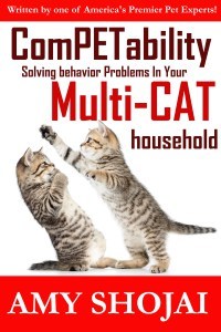 NEW-CatCompet-COVER-kindle